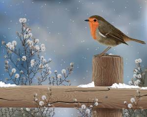 Раскраска птички зимние #7 #464506