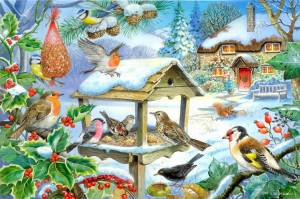 Раскраска птички на кормушке для детей #10 #464548