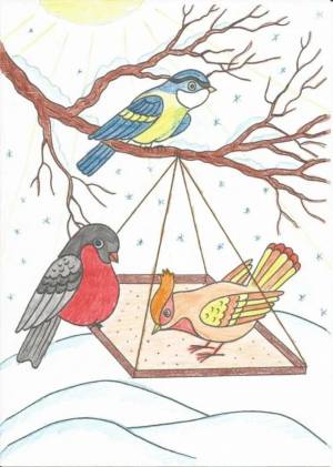 Раскраска птички на кормушке для детей #12 #464550