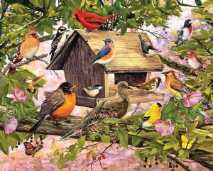 Раскраска птички на кормушке для детей #16 #464554
