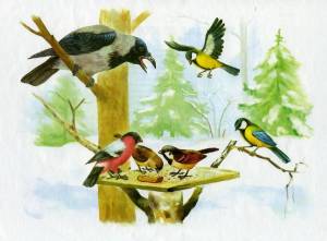 Раскраска птички на кормушке для детей #36 #464574