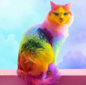Раскраска радужный котик #1 #467320