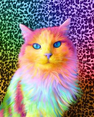 Раскраска радужный котик #27 #467346