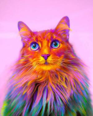 Раскраска радужный котик #29 #467348