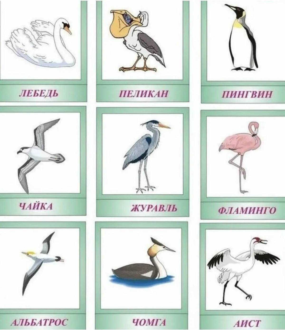 Птицы перелетные для детей #29