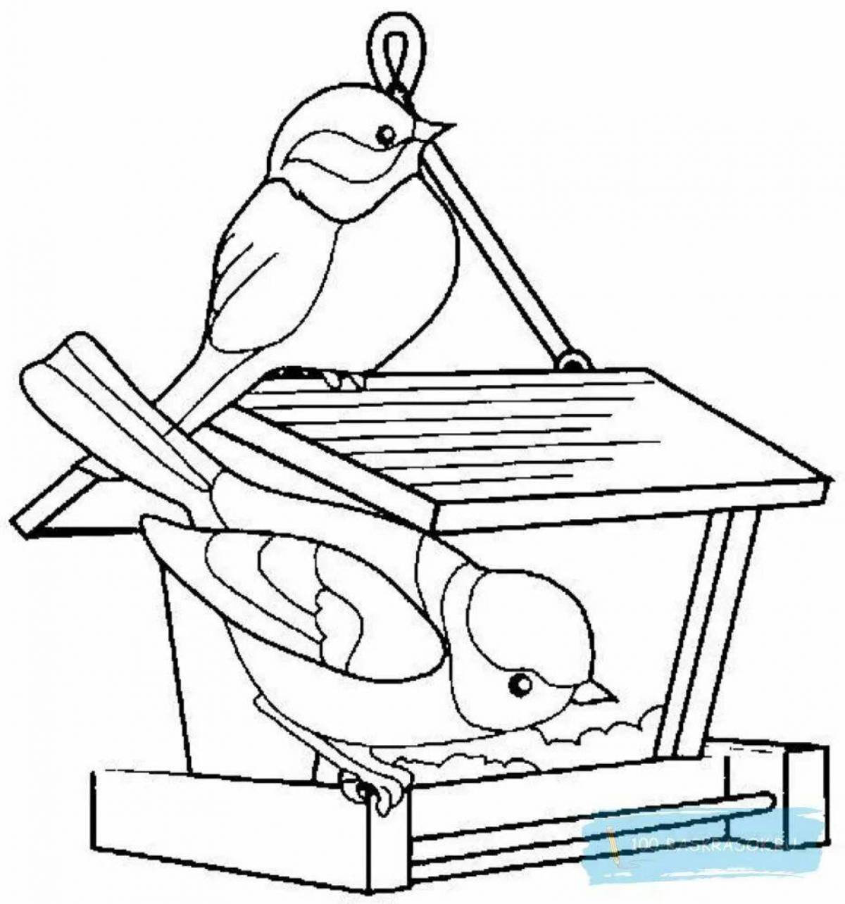 Птички на кормушке для детей #20