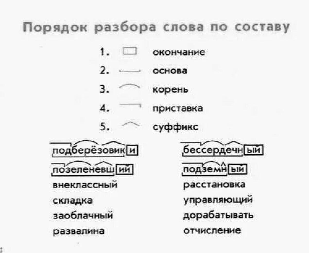 Разбор слова. Порядок разразбора слова по составу. Схема разбора слова по составу. Слова для разбора слова.