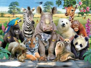 Раскраска разные животные #3 #468001