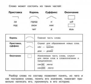 Раскраска разобрать слово по составу #28 #468179