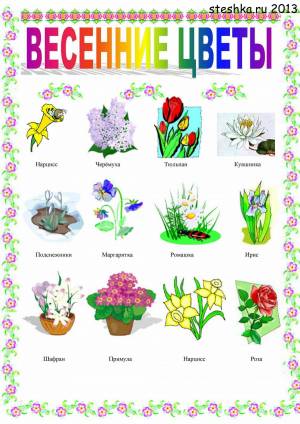 Раскраска растения для детей #15 #470252