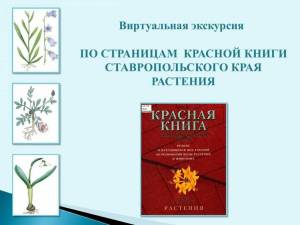 Раскраска растения из красной книги #2 #470304