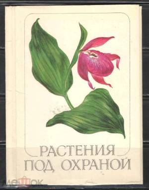 Раскраска растения из красной книги #16 #470318