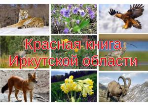 Раскраска растения из красной книги #26 #470328