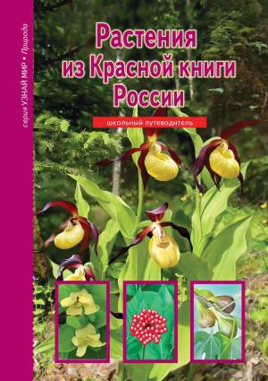 Раскраска растения из красной книги #37 #470339