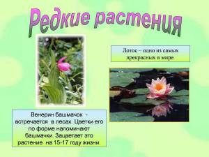Раскраска растения красной книги россии #14 #470355