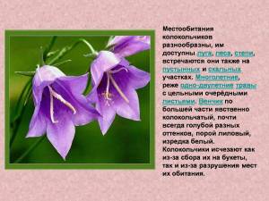 Раскраска растения красной книги россии #20 #470361