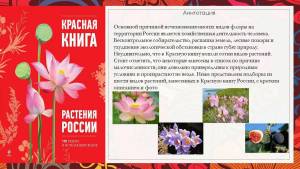 Раскраска растения красной книги россии #24 #470365