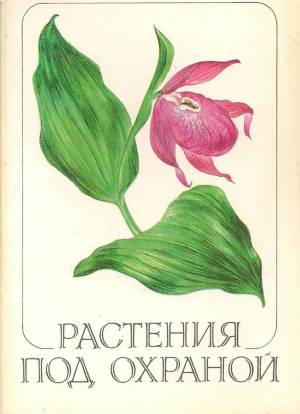 Раскраска растения красной книги россии #30 #470371