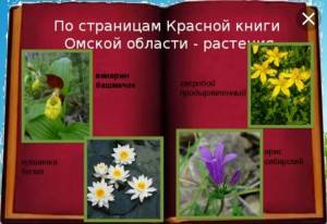 Раскраска растения красной книги россии #38 #470379