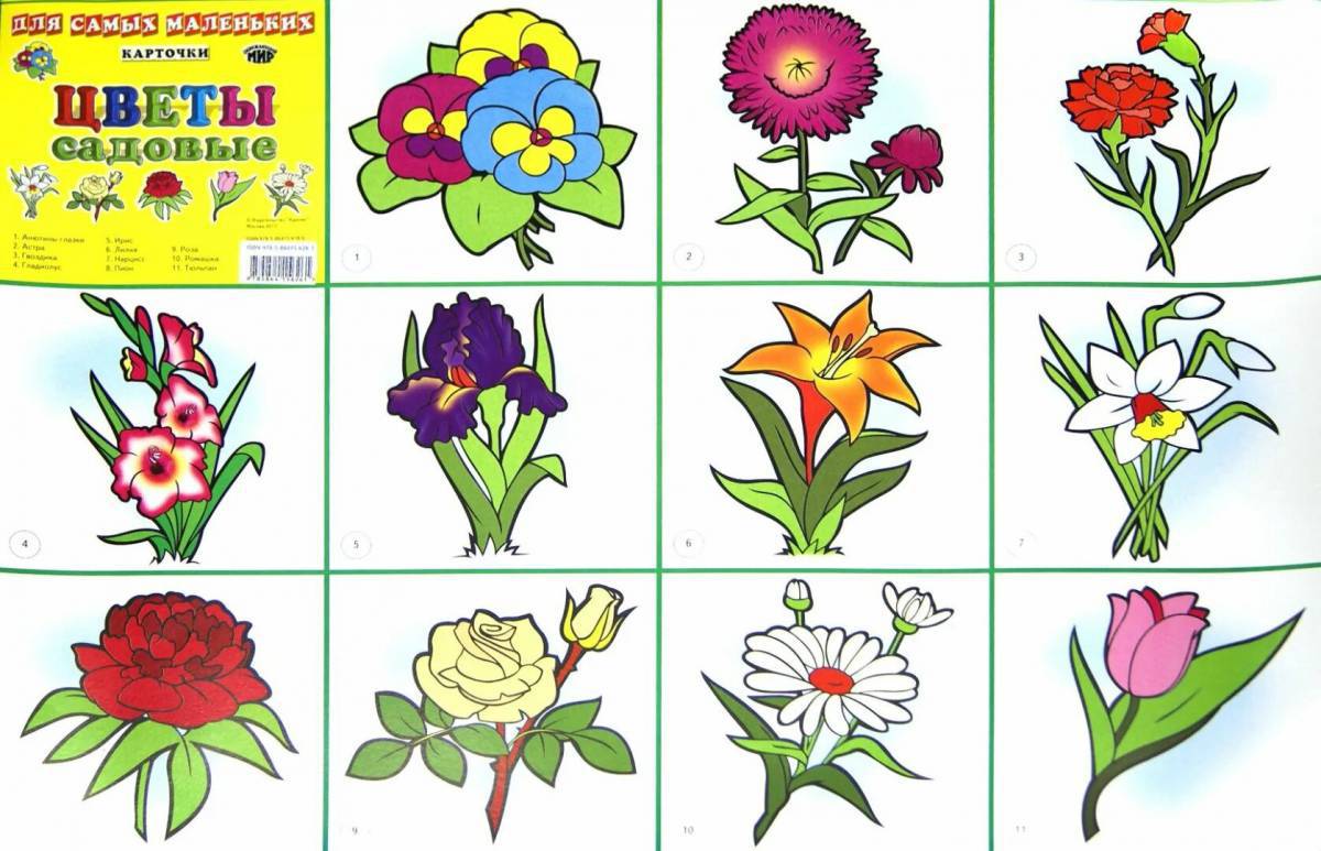 Полевые цветы – раскраски для детей | Basteln frühling, Basteln, Frühling