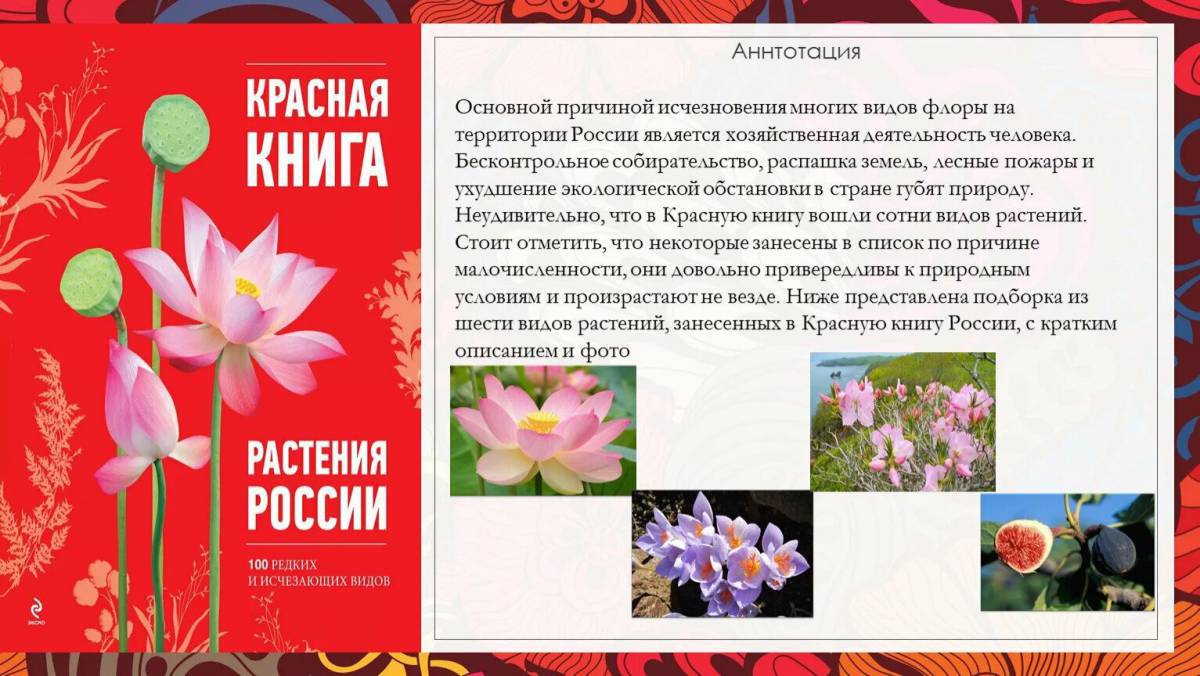 Растения красной книги россии #24