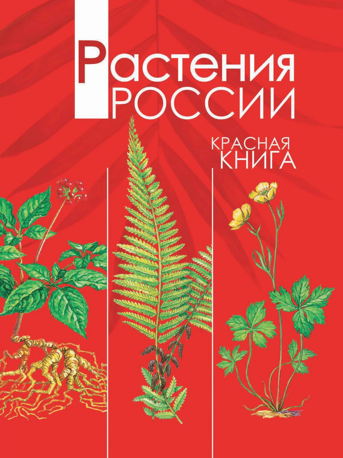 Растения красной книги россии #37