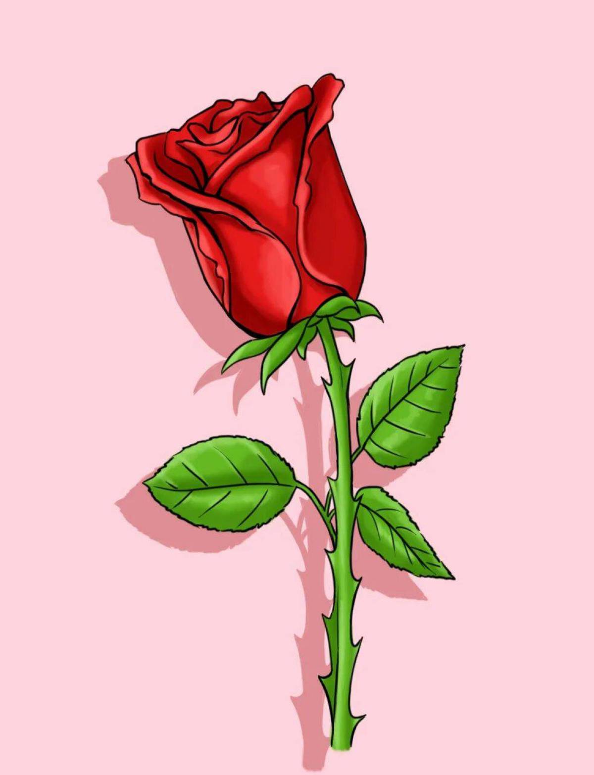 Розовый цветок нарисованный. Нарисовать розу. Розочки для рисования. Рисунок розы для срисовки.