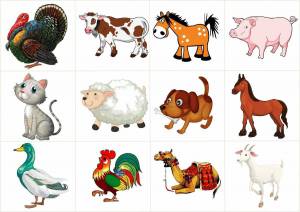 Раскраска рисунки животных для для детей #24 #473089
