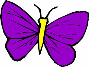 Раскраска рисунок бабочка для детей #6 #473378