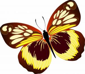 Раскраска рисунок бабочка для детей #15 #473387