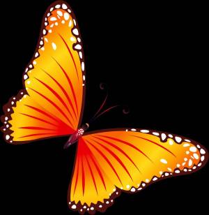 Раскраска рисунок бабочка для детей #18 #473390