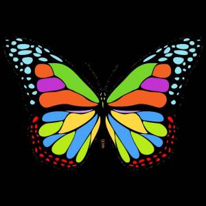 Раскраска рисунок бабочка для детей #28 #473400