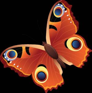 Раскраска рисунок бабочка для детей #34 #473406