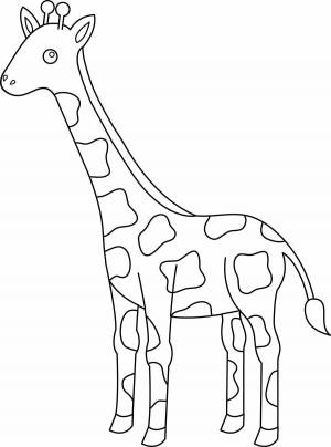 Раскраска рисунок жираф для детей #17 #473630