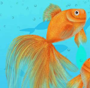 Раскраска рисунок золотая рыбка #30 #473831