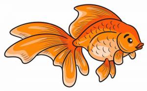 Раскраска рисунок золотая рыбка #34 #473835