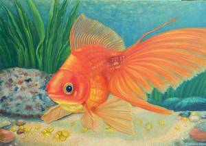 Раскраска рисунок золотая рыбка #38 #473839