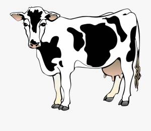 Раскраска рисунок корова для детей #9 #473887