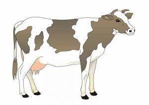 Раскраска рисунок корова для детей #22 #473900