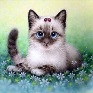 Раскраска рисунок котенок #25 #473941