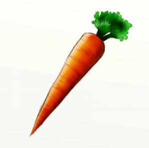 Раскраска рисунок морковка #36 #474331