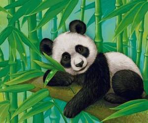 Раскраска рисунок панда #9 #474665