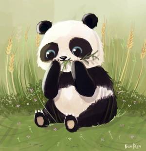 Раскраска рисунок панда #29 #474685