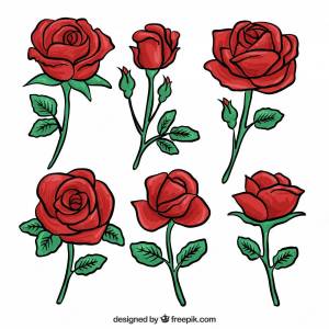 Раскраска рисунок роза #3 #474904