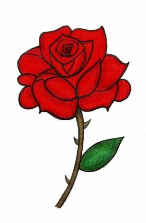 Раскраска рисунок роза #9 #474910