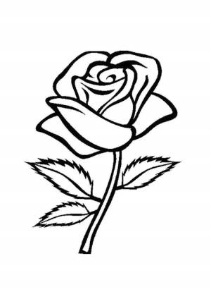 Раскраска рисунок роза #10 #474911