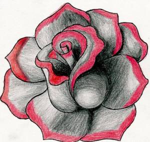 Раскраска рисунок роза #14 #474915