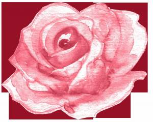 Раскраска рисунок роза #21 #474922