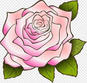 Раскраска рисунок роза #33 #474934