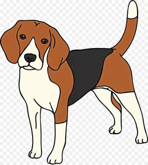 Раскраска рисунок собака для детей #10 #475167